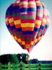 D-OFUN (1)_1