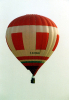 D-EISVOGEL_1